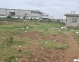 13.13 acre road side commercial land on the Tema-Afloa road